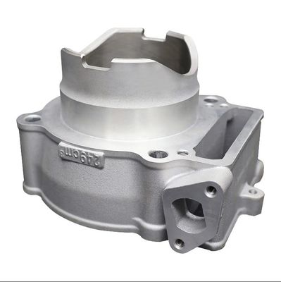 Customized Process Metal Casting Parts Motorcycle Crankcase Various Surface Treatment