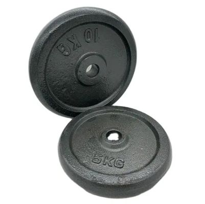 Aluminium Brass Foundries Custom Gray Iron Casting Counterweight Plate for Small Parts